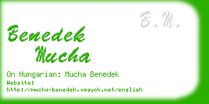 benedek mucha business card